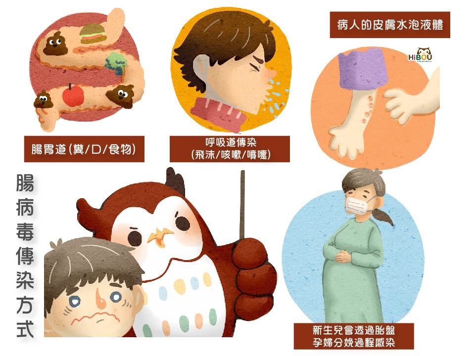 腸病毒洗手預防