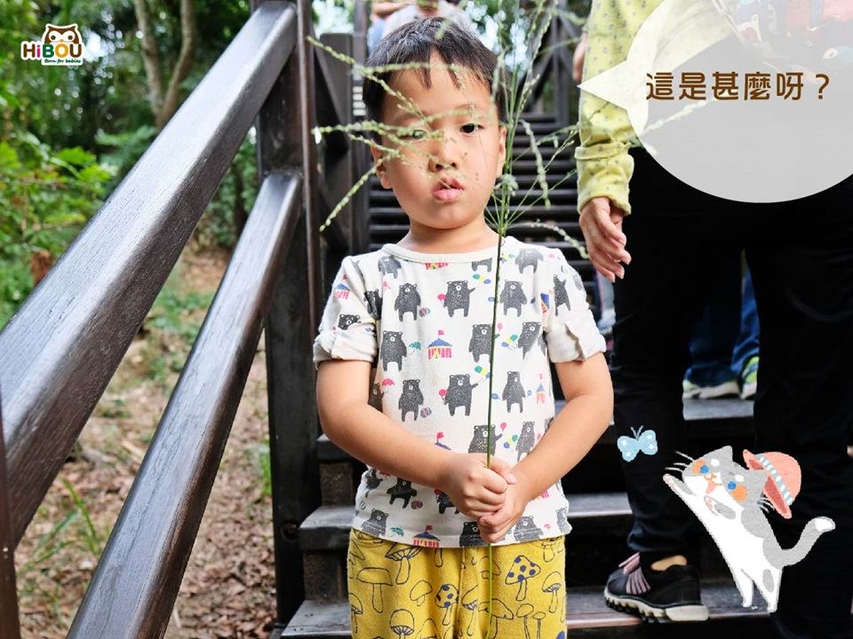 孩子在大坑木棧階梯旁停留、手裡拿著草穗