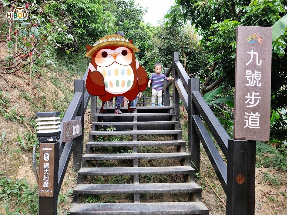 大坑 9 號步道入口與向上延伸的木棧階梯