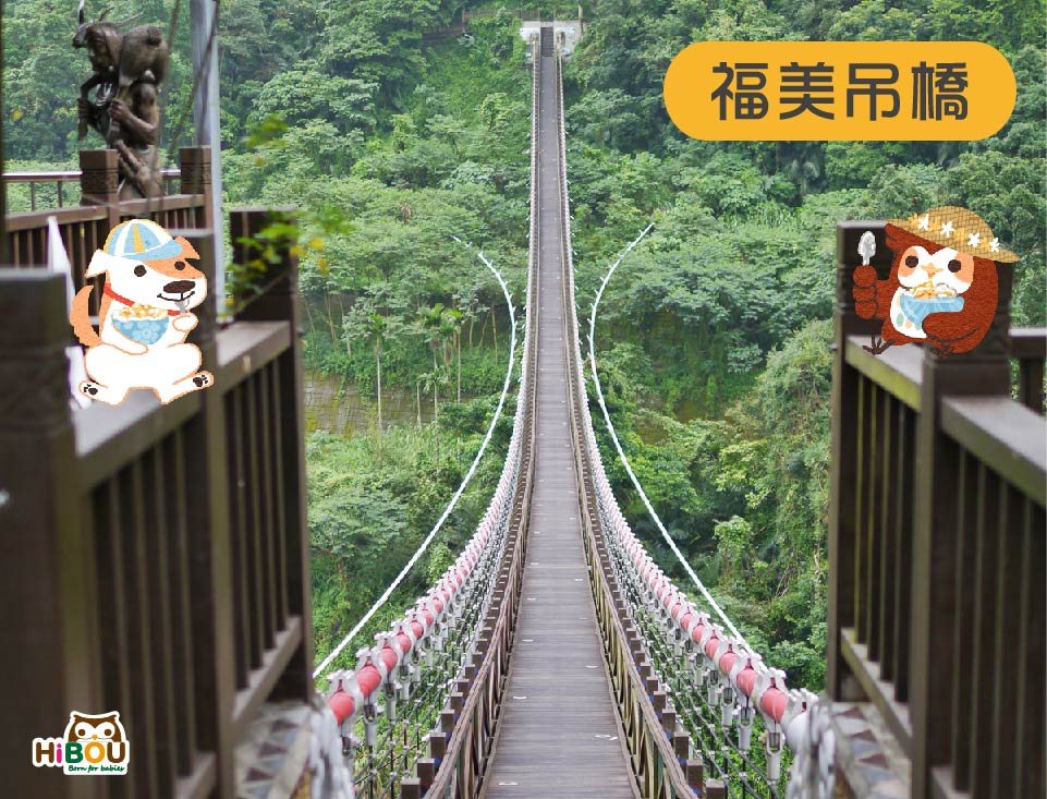 嘉義達娜伊谷福美吊橋森林景色