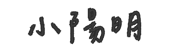 辰宇落雁體 2.0 Thin 小陽明 PE-DESIGN 實際樣張