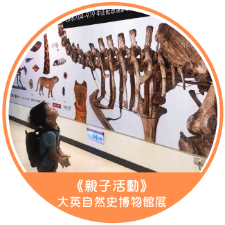 《親子活動》知性之旅！大英自然史博物館展