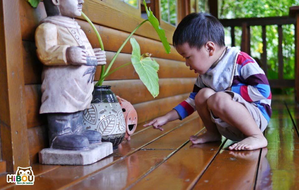 森林親子旅遊的目的探索世界