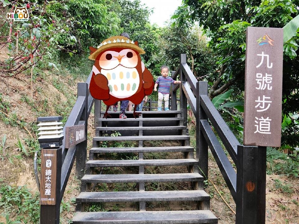 親子互動景點│台中大坑爬山健行步道